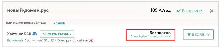 1 месяц тестового периода на WEBNAMES